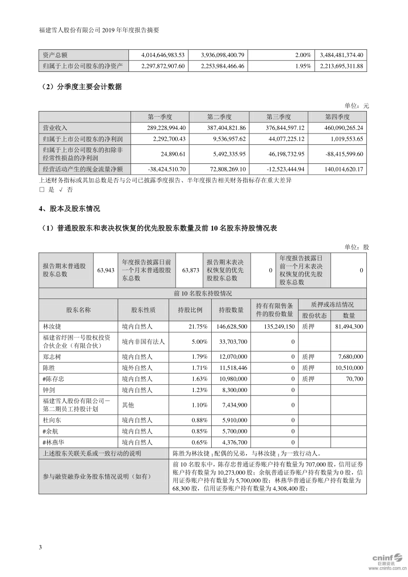 雪人股份：2019年年度报告摘要