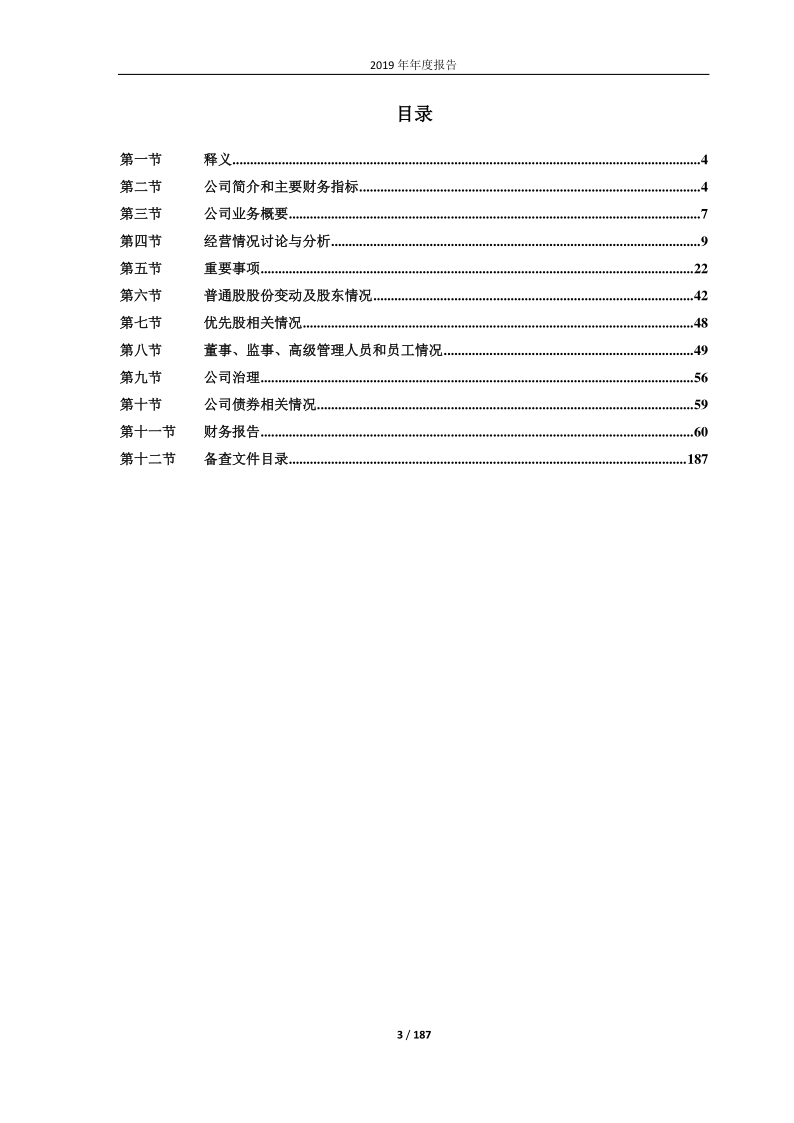 600744：华银电力2019年年度报告(修订稿)