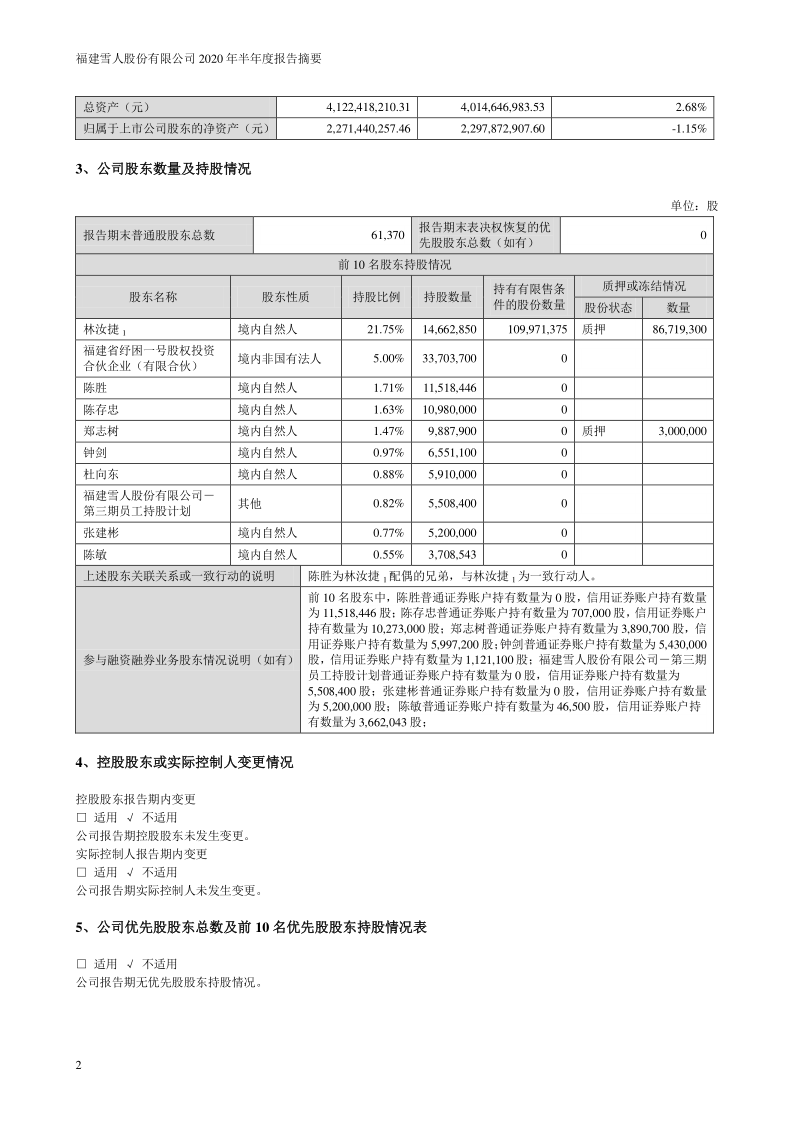 雪人股份：2020年半年度报告摘要