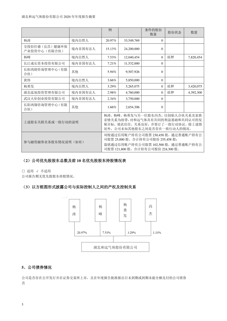 和远气体：2020年年度报告摘要