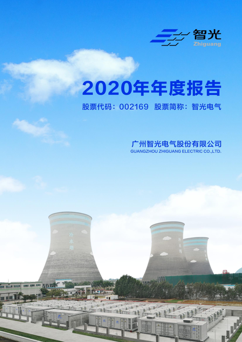 智光电气：2020年年度报告