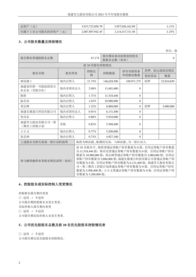 雪人股份：2021年半年度报告摘要