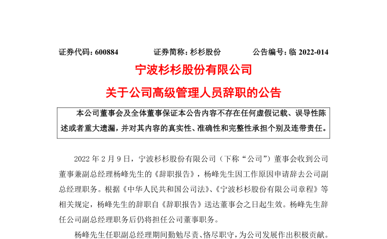 杉杉股份：关于公司董事兼副总经理杨峰辞职的公告