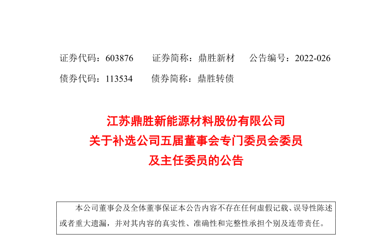 鼎胜新材：关于补选公司第五届董事会专门委员会委员及主任委员的公告