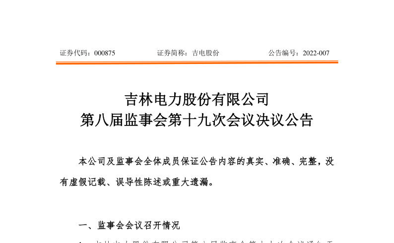 吉电股份：选举徐祖永为第八届监事会监事的第十九次会议决议公告